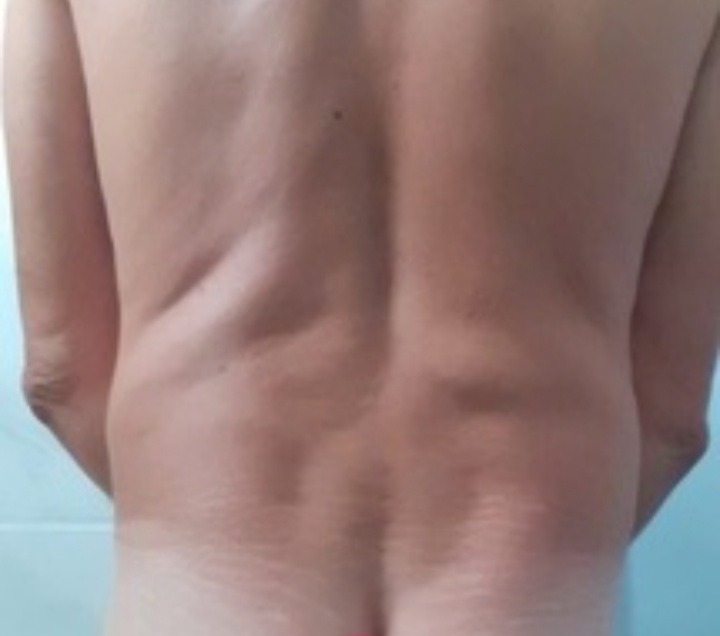 Profil de Janys