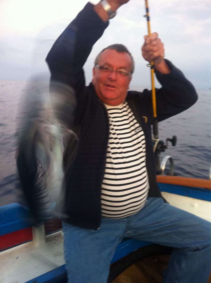 Profil de Ercole